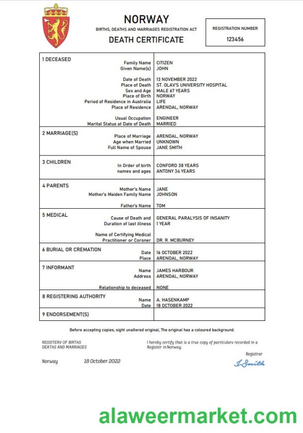Norway vital record death certificate Word and PDF template